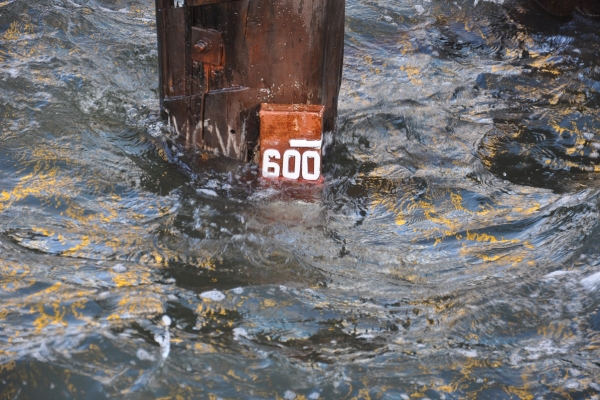 Pomorskie: nadal wysoki poziom wód w Zatoce Gdańskiej i części rzek