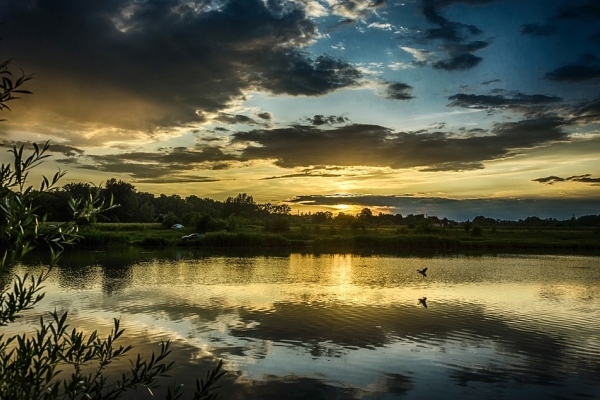 Program zagospodarowania dolnej Wisły tematem Konwentu Politechniki Gdańskiej
