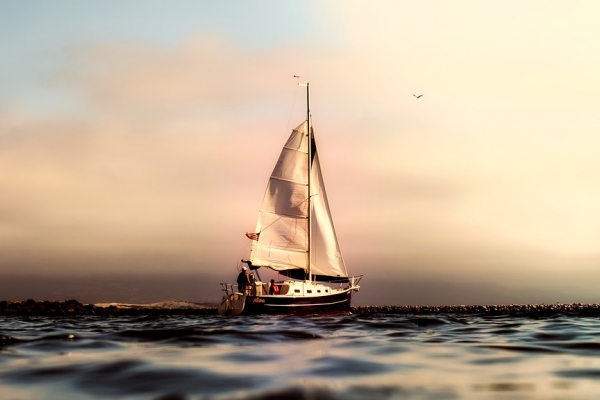 Festiwal Filmów Żeglarskich ponownie na Volvo Gdynia Sailing Days