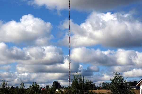 Bieganie, czyżyki i wielbłądy oraz... Gdynia Radio