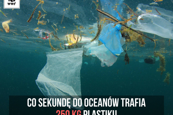 WWF popiera projekt Komisji Europejskiej dotyczący tworzyw sztucznych