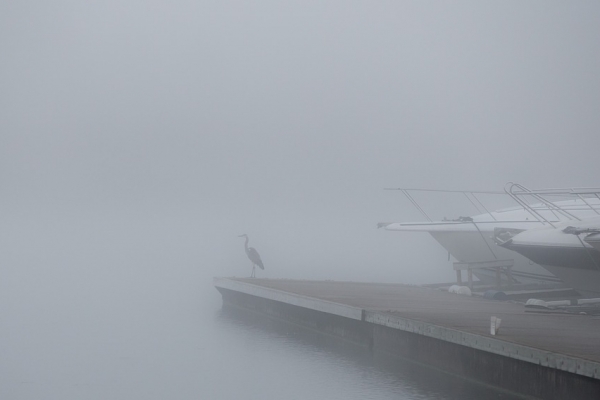 IMGW: ostrzeżenia przed gęstą mgłą dla czterech województw i słabą widocznością na Bałt...