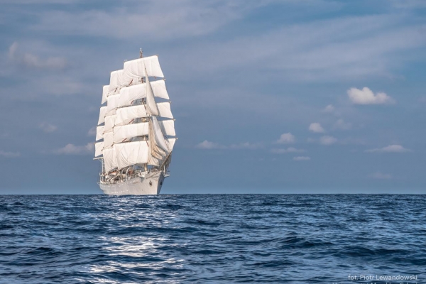 MGMiŻŚ: Święto odzyskania niepodległości w Japonii. Dar Młodzieży płynie do Osaki...