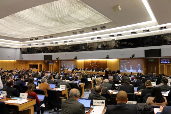 Jubileuszowa sesja komitetu MSC IMO