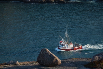 Fot.: Pexels MSC powołuje Fundusz Zarządzania Oceanami o wartości 1 miliona funtów