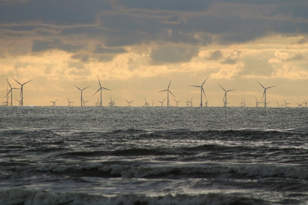 Joint venture spółek EDP Renewables i Shell wygrywa aukcję dla offshore w USA