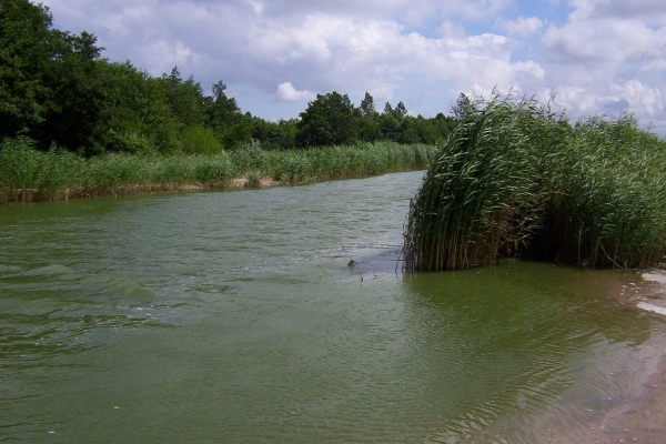 Trwa projektowanie przebudowy Nurtu Jamneńskiego