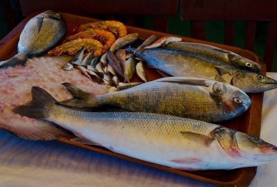 Odpowiedzialna konsumpcja ryb czy puste talerze?