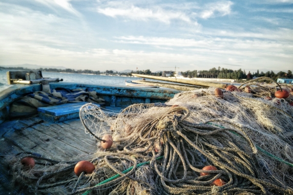 Ukraina i Rosja porozumiały się w sprawie połowu ryb na Morzu Azowskim