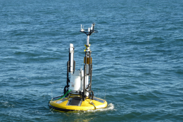 Baltic Trade & Invest uruchamia boję pomiarową, pomoże w budowie farmy wiatrowej