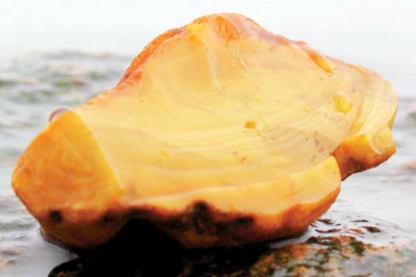 Resort środowiska chce ułatwić wydobycie bursztynu na budowie przekopu Mierzei Wiślanej...