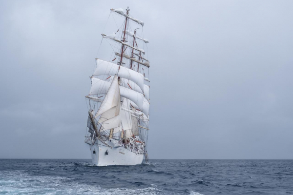 Studenci Akademii Morskiej z Antwerpii na Darze Młodzieży