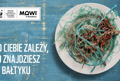 WWF Polska i MOWI wspólnie na rzecz pełnych życia mórz i oceanów