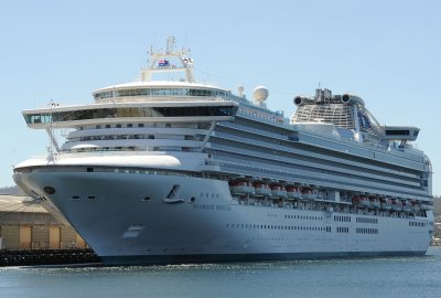 39 kolejnych osób zakażonych koronawirusem na statku Diamond Princess w ...