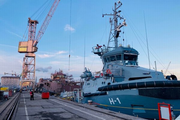 Bolko przekazany, Gniewko kończy próby na uwięzi