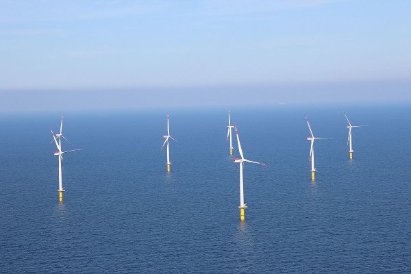 Raport: w 2019 r. 52 mld euro inwestycji w sektorze energii wiatrowej w Europie