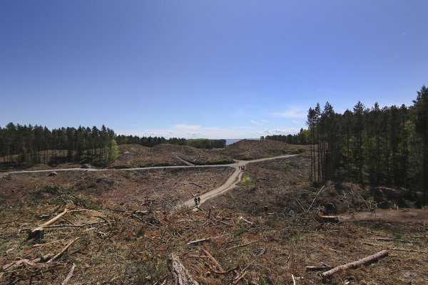 GDOŚ po raz szósty informuje, że w sprawie przekopu potrzebuje więcej czasu na decyzję...