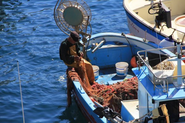 We Włoszech spadek konsumpcji ryb o 55 procent z powodu pandemii