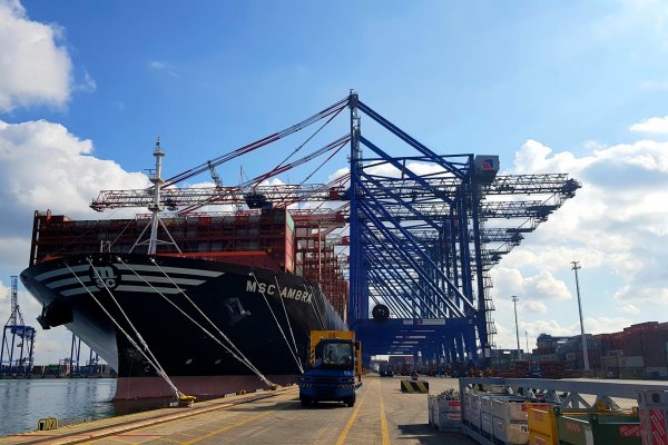 MSC Ambra po raz pierwszy w DCT Gdańsk