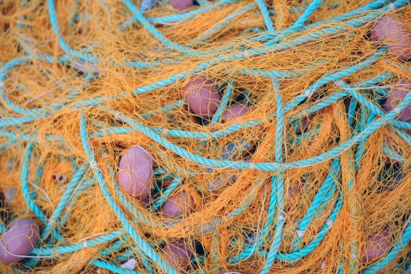 MGMiŻŚ opracowało propozycję pakietu pomocowego dla rybołówstwa i akwakultury