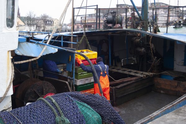 Komisja Europejska uruchamia wsparcie dla rybaków w związku z pandemią koronawirusa