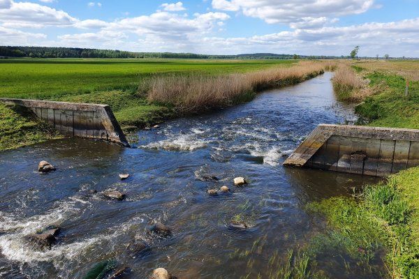 Piętrzymy wodę! Wszystko po to, by susza nie dotknęła zachodniopomorskich rolników