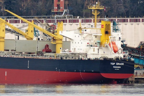 Załoga masowca przyznała się do wyrzucenia za burtę pasażerów na gapę