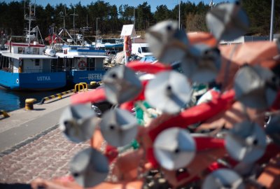 Rybacy pływający na kutrach o długości do 12 metrów będą mogli mieć w przyłowie dorsze jeżeli będą używać odpowiedni narzędzi i nie przekroczą głębokości 20 metrów Rybacy
