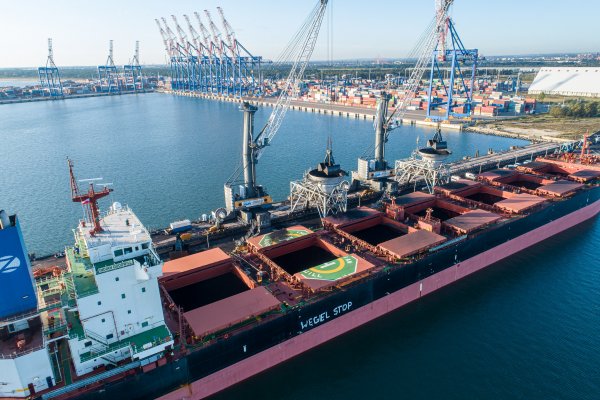 Aktywiści Greenpeace oskarżeni po blokadzie portu