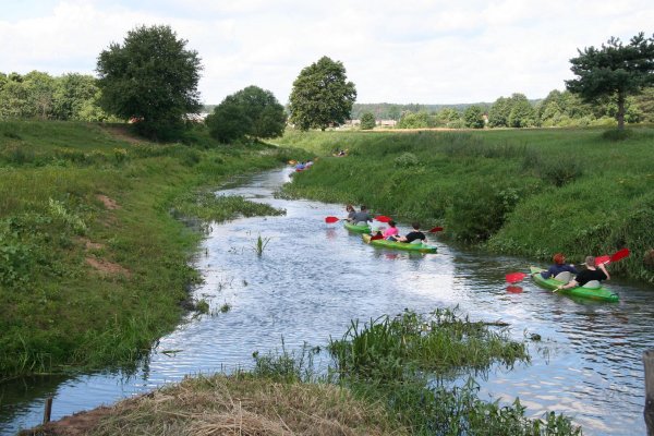 Zrzut wody ze Stawów Milickich ma pomóc w oczyszczeniu Baryczy