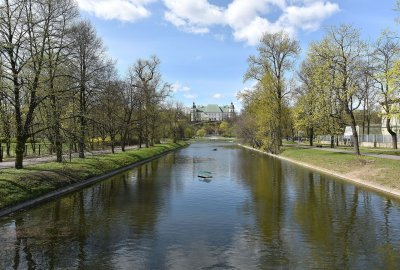 Nowa platforma dla ptaków wodnych na Kanale Piaseczyńskim