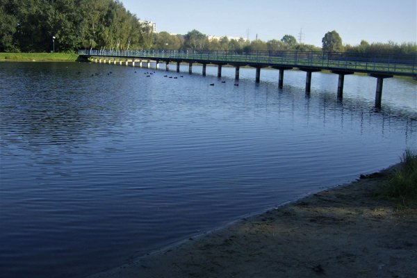 Modernizacja i oczyszczanie zalewu na Borkach za 5,8 mln zł