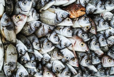 ARiMP wsparcie dla zakładów przetwórstwa rybnego