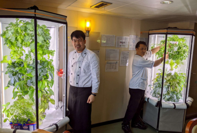 Masowiec z własną szklarnią