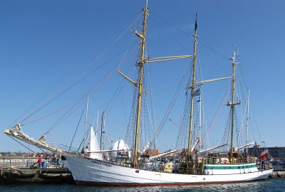 Zawisza Czarny (Fot.: Wikipedia) Nowe żagle dla Zawiszy Czarnego