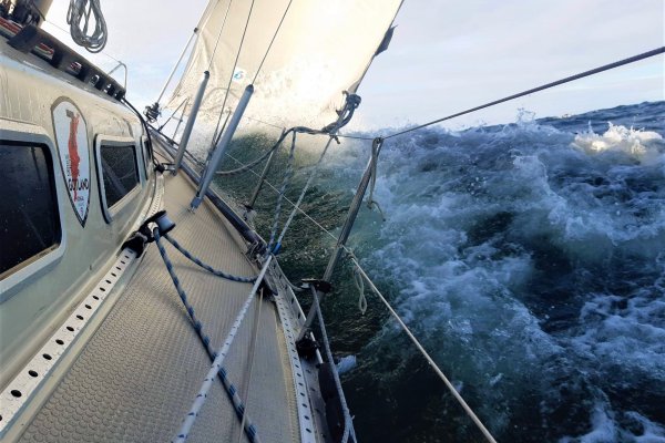 Szybkim halsem do Gotlandii