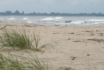 Jakość wody u ujścia Wisły na jednym kąpielisku nie odpowiada wymaganiom sanitarnym...