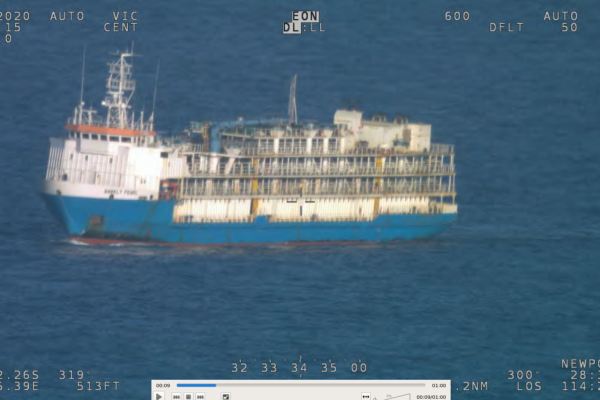 Problemy statku do przewozu żywych zwierząt [VIDEO]