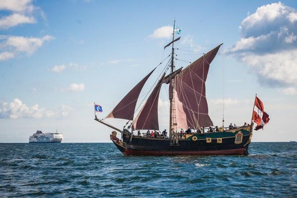 Parada Baltic Sail Gdańsk na wodach Zatoki