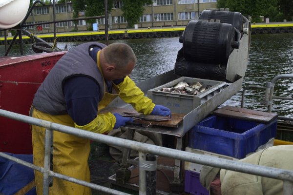 Komisja Europejska proponuje limity połowowe na Atlantyk i Morze Północne