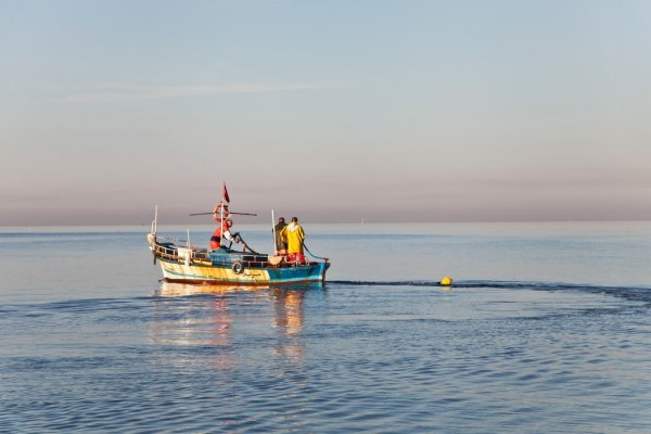 Wielka Brytania: Rybołówstwo kością niezgody w rozmowach z UE o przyszłych relacjach...