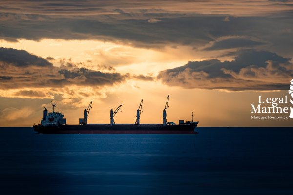 Krytyczny komentarz do projektu likwidacji ulgi abolicyjnej