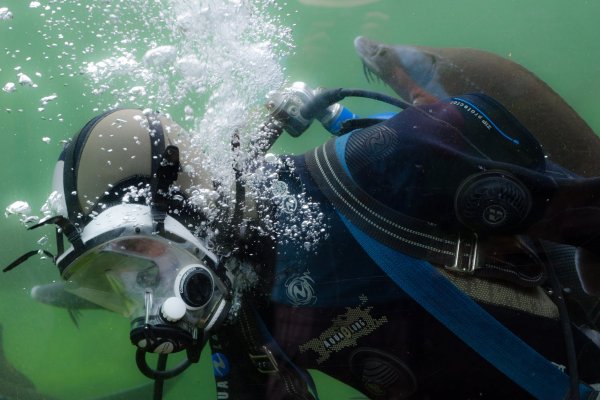 Ekspert: reforma egzaminów dot. prac podwodnych konieczna dla rozwoju sektora