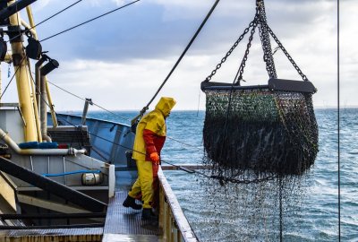 MSC publikuje nowe dane na temat rozwoju zrównoważonego rybołówstwa