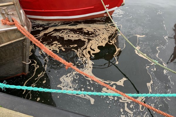 Rozlew olejowy w usteckim porcie morskim