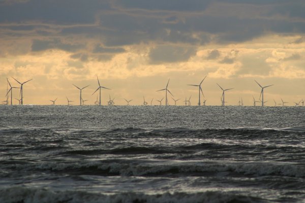 Rusza projektowanie morskiej farmy wiatrowej PKN Orlen na Morzu Bałtyckim