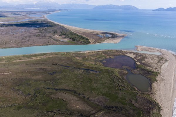 50 syryjskich migrantów uratowanych przez wojsko i policję