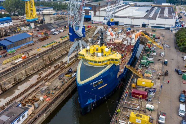 Ze statku PSV na jednostkę do transportu paszy [VIDEO]