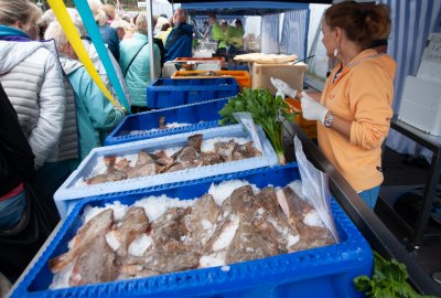 Rusza pomoc finansowa dla przetwórców ryb dotkniętych pandemią COVID-19 przetwórstwo rybne