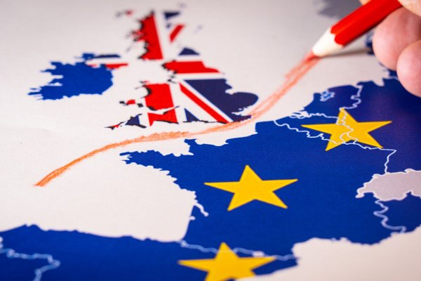 Kontrole celne, fitosanitarne i weterynaryjne na granicy Wielkiej Brytanii od 1 styczni...